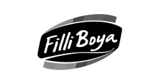 Filli Boya